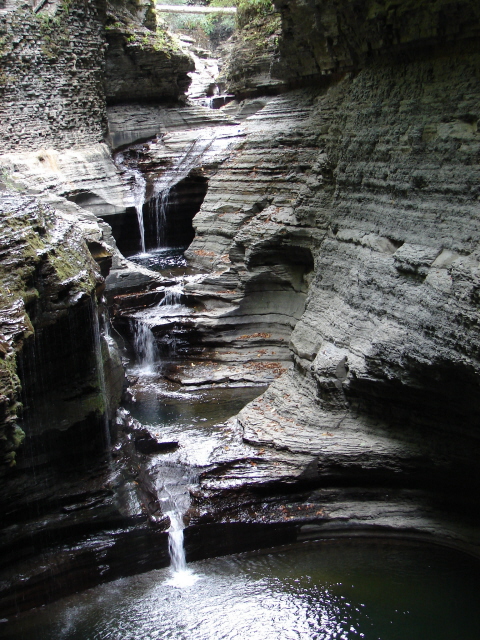Watkins Glen NY
